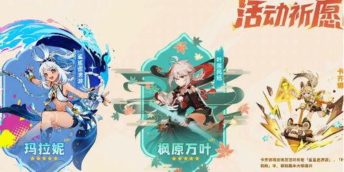 原神池子最新爆料5.0